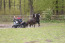 Bed en Stal Recreatieoord Hippique Camper VMP132